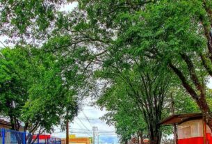 Sexta-feira com benção de chuva santa!