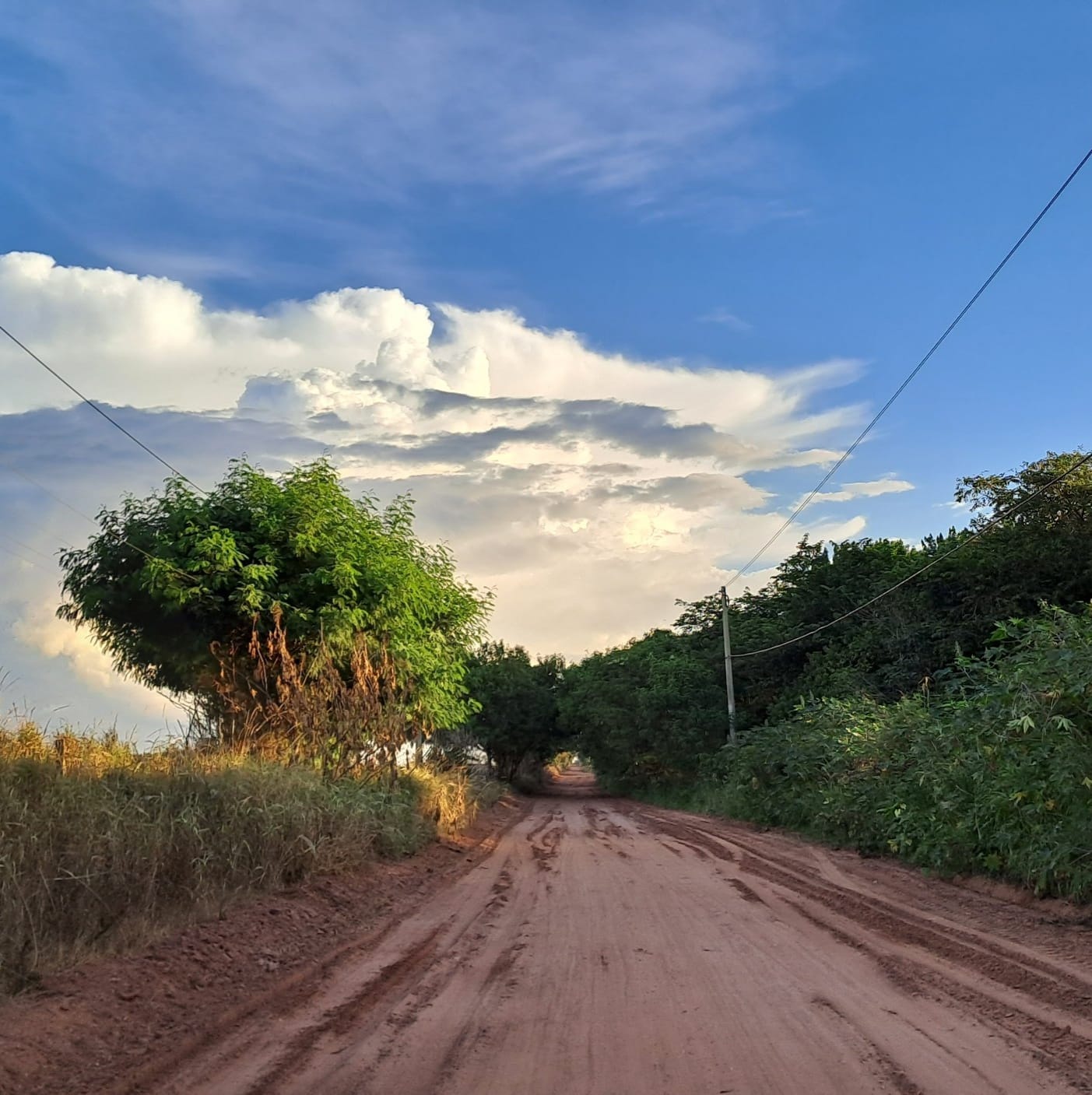 Estrada de Nhumirim, toda linda!